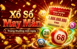 Xổ Số lottohub - ảnh minh họa kết quả và giao diện tra cứu